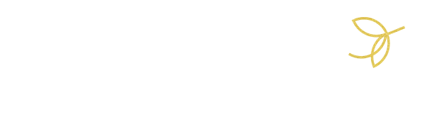 Psicologa Dinorah Terapia Pareja Individual Familiar Online Logo 